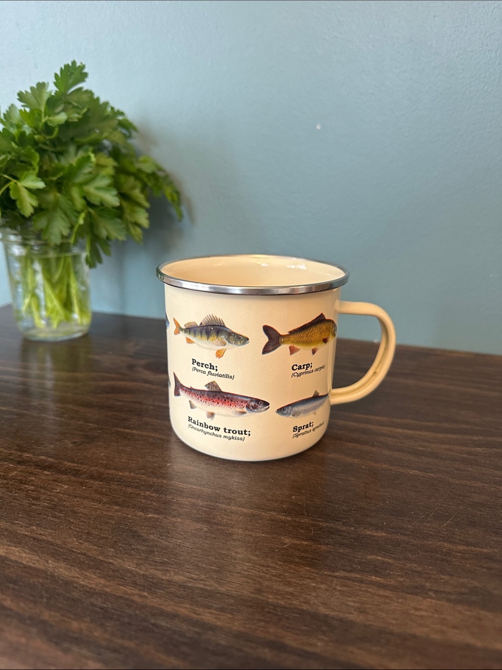 Enamel mug